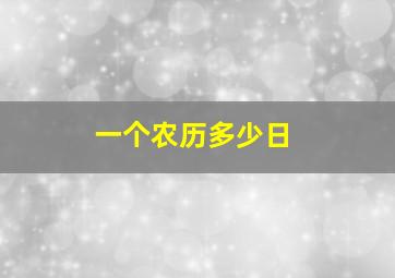 一个农历多少日