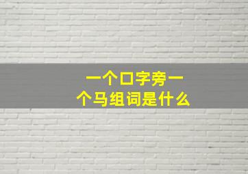 一个口字旁一个马组词是什么