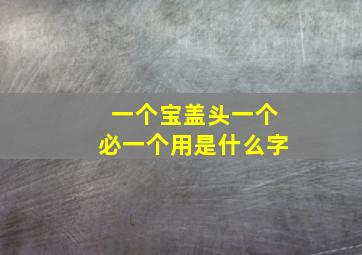 一个宝盖头一个必一个用是什么字