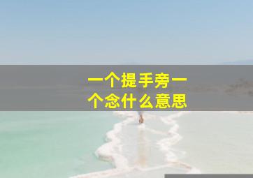 一个提手旁一个念什么意思