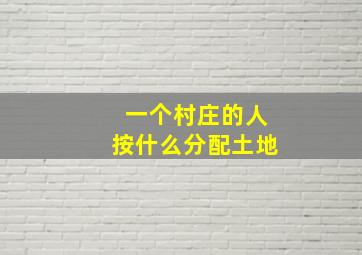 一个村庄的人按什么分配土地