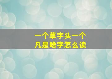 一个草字头一个凡是啥字怎么读