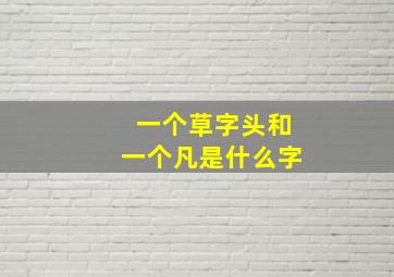 一个草字头和一个凡是什么字