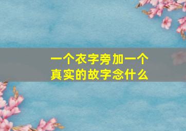 一个衣字旁加一个真实的故字念什么