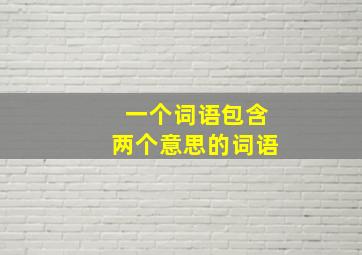 一个词语包含两个意思的词语