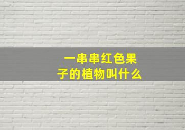 一串串红色果子的植物叫什么