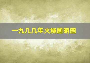 一九几几年火烧圆明园