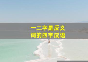 一二字是反义词的四字成语