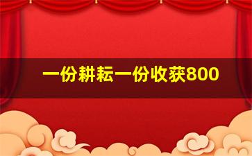 一份耕耘一份收获800