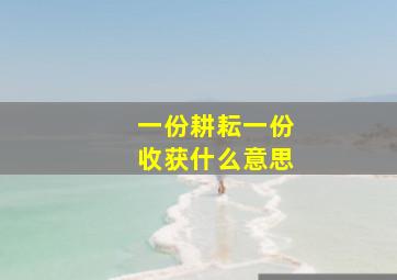 一份耕耘一份收获什么意思