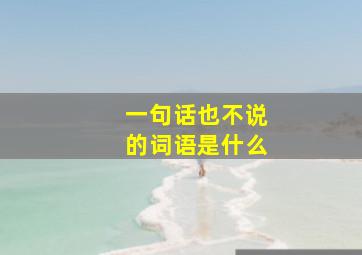 一句话也不说的词语是什么