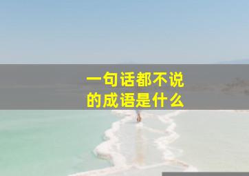 一句话都不说的成语是什么