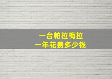 一台帕拉梅拉一年花费多少钱