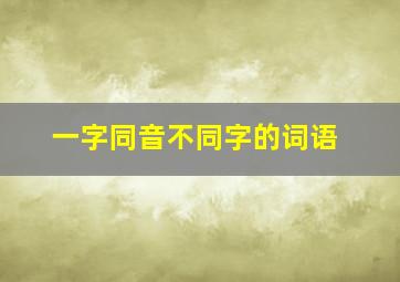 一字同音不同字的词语