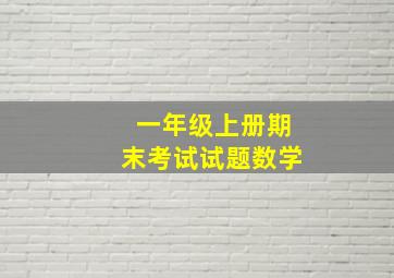 一年级上册期末考试试题数学