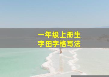 一年级上册生字田字格写法