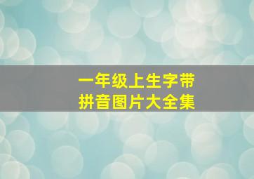 一年级上生字带拼音图片大全集