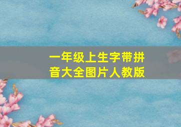 一年级上生字带拼音大全图片人教版