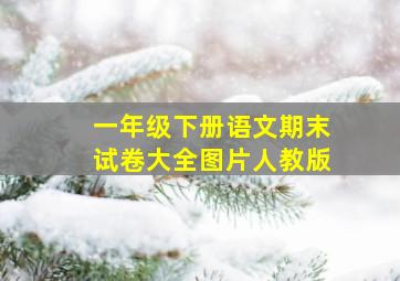 一年级下册语文期末试卷大全图片人教版