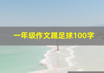 一年级作文踢足球100字