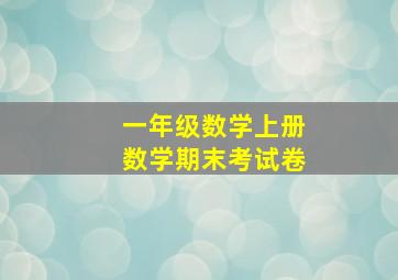 一年级数学上册数学期末考试卷