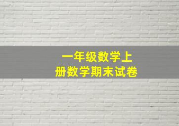 一年级数学上册数学期末试卷