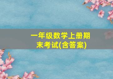 一年级数学上册期末考试(含答案)