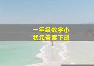 一年级数学小状元答案下册