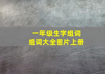 一年级生字组词组词大全图片上册