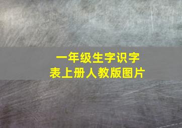 一年级生字识字表上册人教版图片