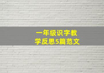 一年级识字教学反思5篇范文