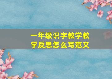 一年级识字教学教学反思怎么写范文