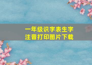 一年级识字表生字注音打印图片下载