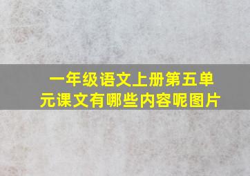 一年级语文上册第五单元课文有哪些内容呢图片