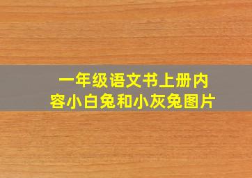 一年级语文书上册内容小白兔和小灰兔图片