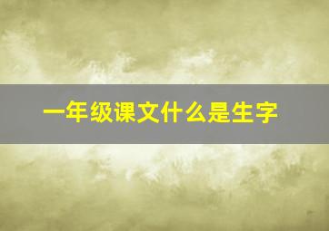 一年级课文什么是生字