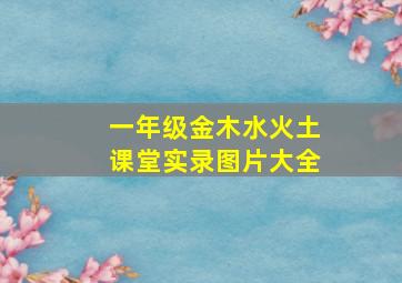 一年级金木水火土课堂实录图片大全