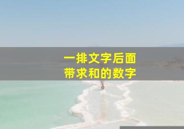 一排文字后面带求和的数字