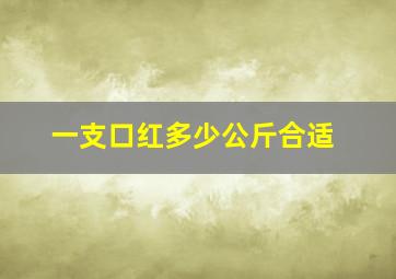 一支口红多少公斤合适