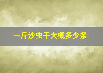 一斤沙虫干大概多少条