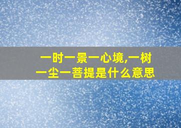 一时一景一心境,一树一尘一菩提是什么意思