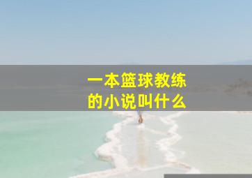 一本篮球教练的小说叫什么