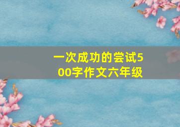 一次成功的尝试500字作文六年级