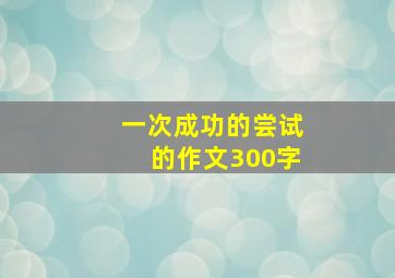 一次成功的尝试的作文300字