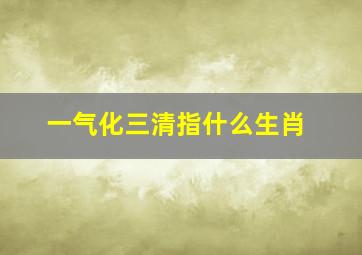 一气化三清指什么生肖