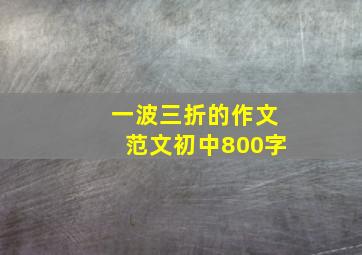 一波三折的作文范文初中800字