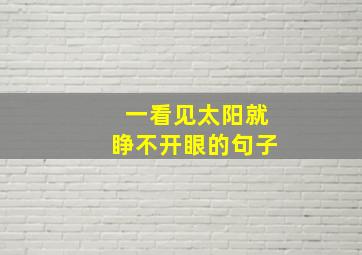 一看见太阳就睁不开眼的句子