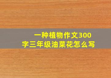 一种植物作文300字三年级油菜花怎么写