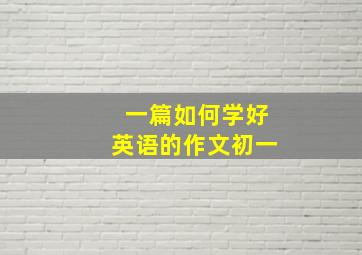 一篇如何学好英语的作文初一