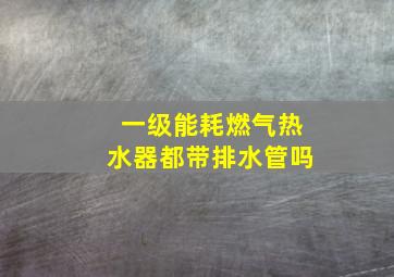 一级能耗燃气热水器都带排水管吗